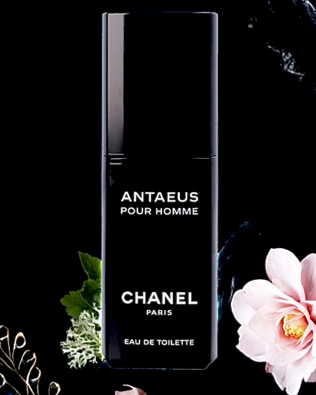 Chanel Antaeus